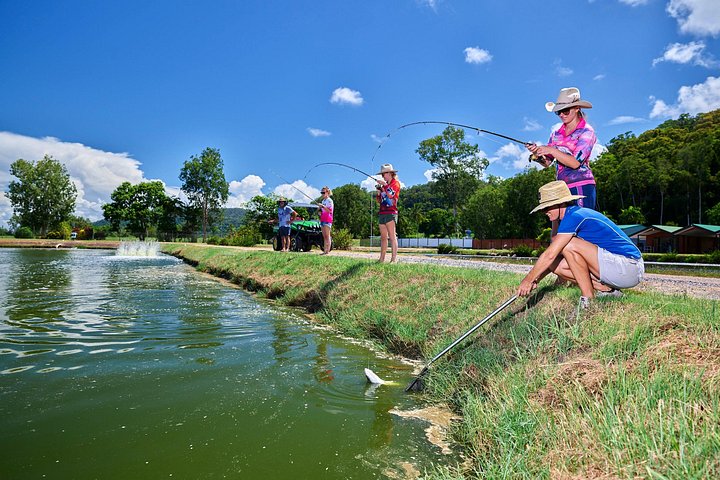 Hook-A-Barra with Lunch & Port Douglas transfers - photo